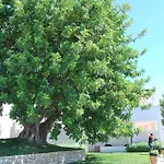 La Del Carrubo Mattinata