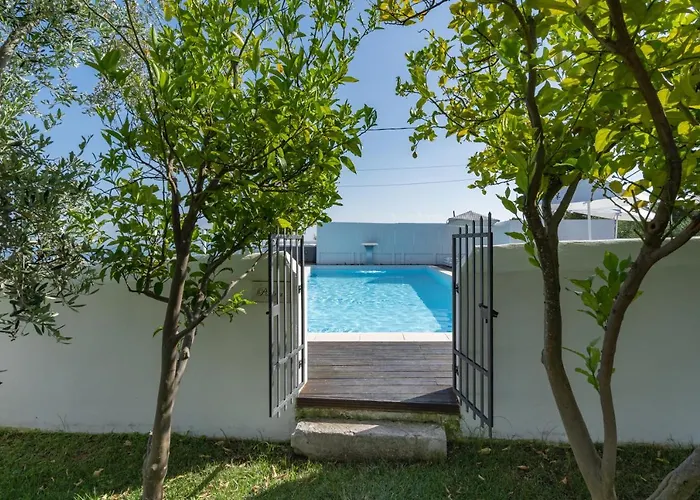 Hotel La Del Carrubo Mattinata